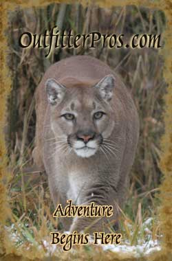 Big Game Hunting Photograph