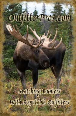 Big Game Hunting Photograph