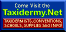 Taxidermy.net Logo